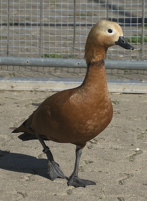 与空间